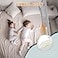 G TALECO GEAR Bed Rail for Toddlers Stable Protective Bed Side Rails Baby Bedrail Guard for Twin Full Queen King Size Bed 748 Inch 1 Piece