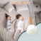 G TALECO GEAR Bed Rail for Toddlers Stable Protective Bed Side Rails Baby Bedrail Guard for Twin Full Queen King Size Bed 748 Inch 1 Piece