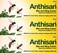 كريم لدغات الحشرات SEALIGHT Anthisan، 20 غرام × 3 عبوات من Anthisan