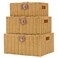 Homepeaz Wicker Storage Baskets with Lids Set of 3 Decorative Storage Boxes For Organizing Woven Baskets with Leather Lock and Handles Beige