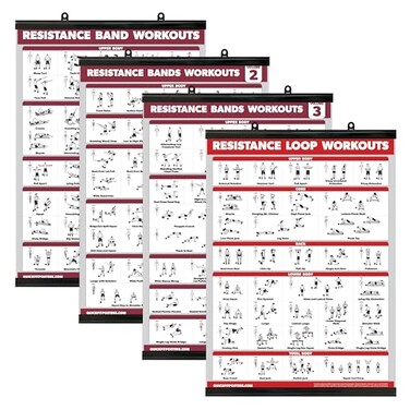 Palace Learning 4 Pack Resistance Bands Workout Exercise Posters Volume 1 2 3 Resistance Loops Fitness Chart LAMINATED WITH PLASTIC FRAME 18 x 24