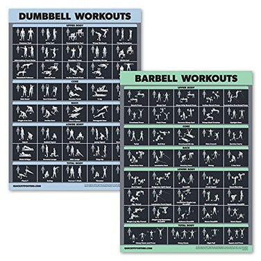 Palace Learning 2 Pack Dumbbell Workouts and Barbell Exercise Poster Set Laminated 2 Chart Set Dumbbell Exercise Routine Barbell Workouts DARK LAMINATED 18 x 24