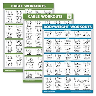 Palace Learning 3 Pack Cable Machine Workout Posters Volume 1 Volume 2 Bodyweight Exercise Chart LAMINATED 18 x 24