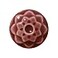 AMACO Celadon C53 Weeping Plum Raspberry Red High Fire Transparent Gloss Glaze Pint 16 oz 473 mL 100 Mixable MidHigh Fire Cone 56 C Liquid Ceramic Pottery Glaze for Bisque
