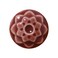 AMACO Celadon C53 Weeping Plum Raspberry Red High Fire Transparent Gloss Glaze Pint 16 oz 473 mL 100 Mixable MidHigh Fire Cone 56 C Liquid Ceramic Pottery Glaze for Bisque