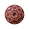 AMACO Celadon C53 Weeping Plum Raspberry Red High Fire Transparent Gloss Glaze Pint 16 oz 473 mL 100 Mixable MidHigh Fire Cone 56 C Liquid Ceramic Pottery Glaze for Bisque