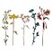 Sizzix Thinlits Die 665221 Wildflower Stems 3 by Tim Holtz 5 Pack
