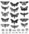 Stampers Anonymous Stampers Anon Moth Study Cling RBBR Stamp Set