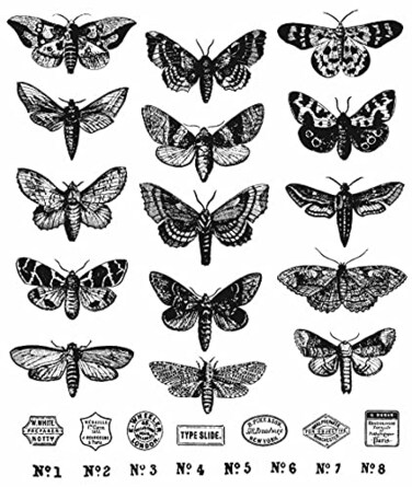 Stampers Anonymous Stampers Anon Moth Study Cling RBBR Stamp Set