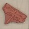 Stamps by Impression Dragonfly Rubber Stamp 15 Block
