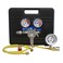 Mastercool 53010AUT Automotive Pressure Testing Kit