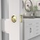 Richelieu Hardware 17RBB42 Onward Round Pocket Door Privacy Pull Bright Brass
