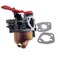 IBVIBV HUAYI Carburetor for 123cc Troy Bilt Squall 210 Snow Blower 31A2M5E766 New