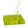 Boon Stem Twig Drying Rack Accessory Bundle