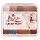Skin Illustrator PPI On Set Flesh Tone Makeup Palette