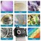 APEXEL 3in1 Phone Microscope Lens PhoneMicro 5 Series 100X150X200X Phone Micro Lens for AndroidiPhone with LED LightCPLUniversal Clip Phone Lens Attachment Mini Pocket Microscope Camera