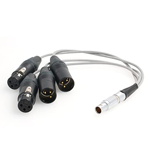 Eonvic Eonvic 10 Pin To 2x3 Pin Xlr Atomos Breakout Audio Input Output Cable