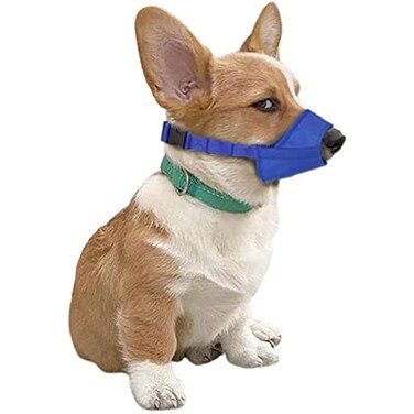 Parts Express Cozy Quick Muzzle Blue