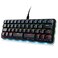Koolertron 42Key 40 Macaro Gaming Keyboard Compact RGB Backlit Mechanical Keypad HotSwappable USBC Programmable Mini Keyboard for PCMac Gamers Fully Customizable