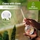 PlanKKers Iridescent Self Watering Globes Glass Rainbow Plant Watering Globes Self Watering Planter Insert Automatic Plant Waterer Indoor Medium4 Pcs Iridescent Medium