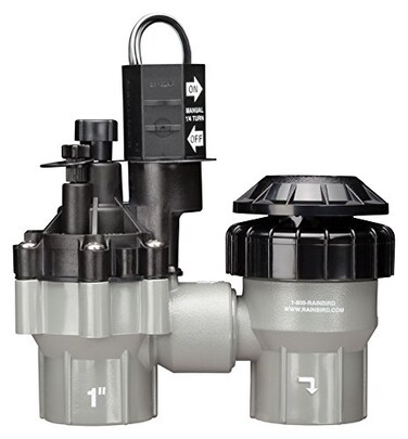 Rain Bird DASASVF100 Professional Grade AntiSiphon Valve with Flow Control 1 Threaded Female x Female