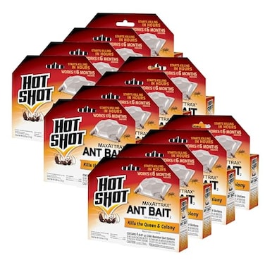 Hot Shot MaxAttrax Ant Bait 007 oz Bait Stations 4 Count 12 Pack