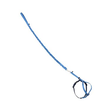 PetSafe Come with Me Kitty Harness and Bungee Leash Medium Royal Blue
