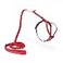 PetSafe Come with Me Kitty Harness and Bungee Leash Adjustable Lightweight Harness for Cats Medium Red