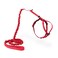 PetSafe Come with Me Kitty Harness and Bungee Leash Adjustable Lightweight Harness for Cats Medium Red