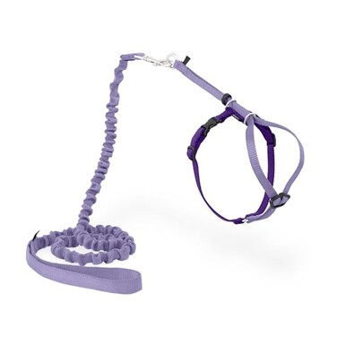 PetSafe Come with Me Kitty Harness and Bungee Leash Adjustable Lightweight Harness for Cats Medium Lilac