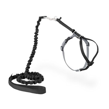 PetSafe Come with Me Kitty Harness and Bungee Leash Adjustable Lightweight Harness for Cats Medium Black