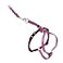PetSafe Come with Me Kitty Harness and Bungee Leash Adjustable Lightweight Harness for Cats Large Dusty Rose