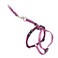 PetSafe Come with Me Kitty Harness and Bungee Leash Adjustable Lightweight Harness for Cats Large Dusty Rose