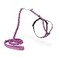PetSafe Come with Me Kitty Harness and Bungee Leash Adjustable Lightweight Harness for Cats Small Dusty Rose