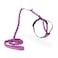 PetSafe Come with Me Kitty Harness and Bungee Leash Adjustable Lightweight Harness for Cats Small Dusty Rose