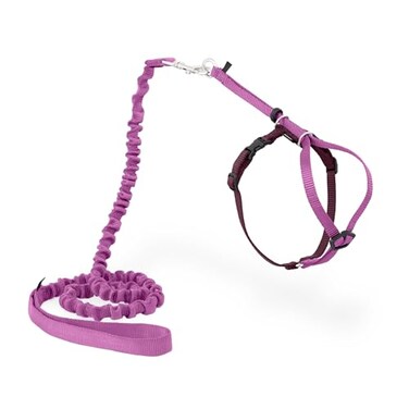 PetSafe Come with Me Kitty Harness and Bungee Leash Adjustable Lightweight Harness for Cats Small Dusty Rose