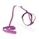 PetSafe Come with Me Kitty Harness and Bungee Leash Adjustable Lightweight Harness for Cats Small Dusty Rose