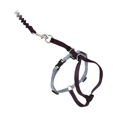 PetSafe Come with Me Kitty Harness and Bungee Leash Large Black