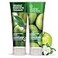Desert Essence Green Apple Ginger Shampoo Conditioner Bundle 8 Fl Ounce Volume For Fine Hair Natural Deep Moisturizing Antioxidants Maca Root Softer Shinier Smooth Silky