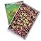 Minecook Kanghwa Mini Moxa Herb Stick Roll180 pcs per Box RedStrong
