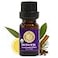 Silk Road Organic Protector Thieves Essential Oil Purifying Immunity Blend 100 Pure USDA Clove Bud Lemon Cinnamon Bark Rosemary Eucalyptus 10 ml Dropper