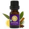 Silk Road Organic Protector Thieves Essential Oil Purifying Immunity Blend 100 Pure USDA Clove Bud Lemon Cinnamon Bark Rosemary Eucalyptus 10 ml Dropper