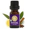 Silk Road Organic Protector Thieves Essential Oil Purifying Immunity Blend 100 Pure USDA Clove Bud Lemon Cinnamon Bark Rosemary Eucalyptus 10 ml Dropper