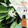 ESSLUX Neroli Essential Oil Aromatherapy Essential Oils for Diffuser Massage Soap Candle Making Perfume 30 ml