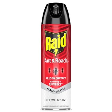 Raid Ant Roach Killer Fragrance Free Bug Killer for Home Use Kills Bugs on Contact 175oz