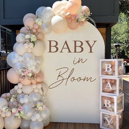 futnh Futnh Baby In Bloom Backdrop Sign Champagne Balloon Arch Background Sticker