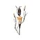 Accent Plus Dawn Lily Candle Wall Sconce 125 Tall