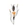 Accent Plus Dawn Lily Candle Wall Sconce 125 Tall