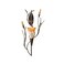 Accent Plus Dawn Lily Candle Wall Sconce 125 Tall