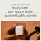 Drift Home Scent Diffuser Refills in Teak 2 Refills Adjustable and Long Lasting Diffuser Aroma Clean Ingredients Pet Safe